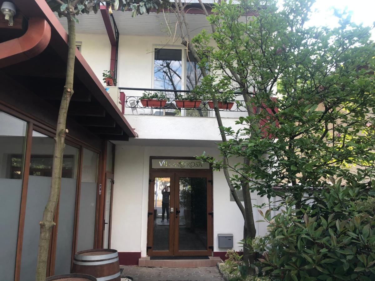 Villa Rosa Тимишоара Экстерьер фото
